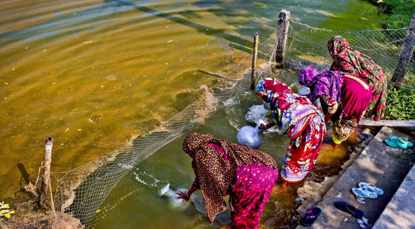 এক ফোঁটা পানির জন্য প্রতিদিনের সংগ্রাম