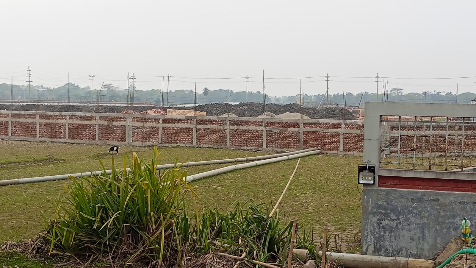 অবৈধ বালু উত্তোলনে হুমকিতে কৃষিজমি, বাড়ছে লবণাক্ততার ঝুঁকি