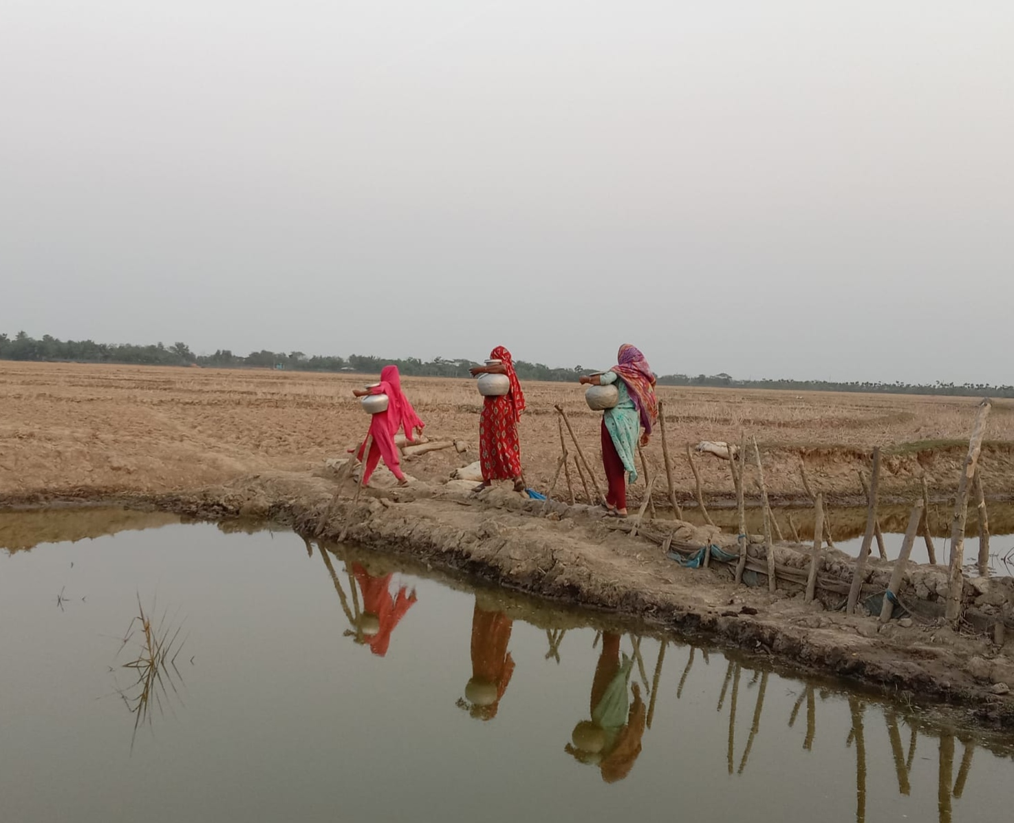 উপকূলে তীব্র পানিসংকট: পুকুরই ভরসা, শহরেও বাড়ছে দুর্ভোগ